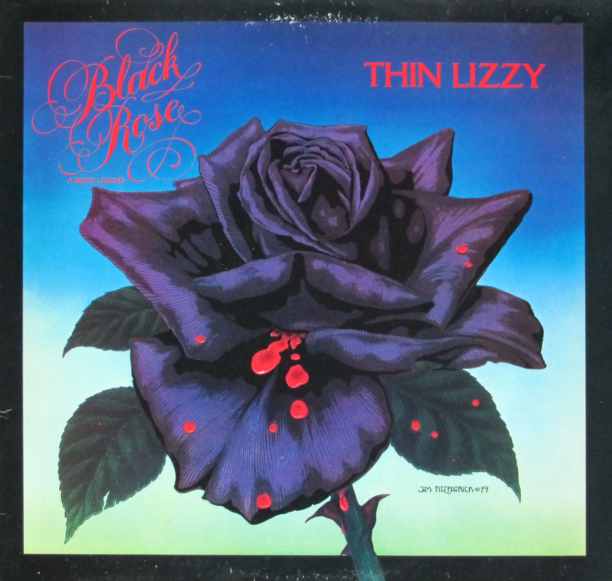 High Resolution Photo #1 THIN LIZZY Black Rose Rock Legend